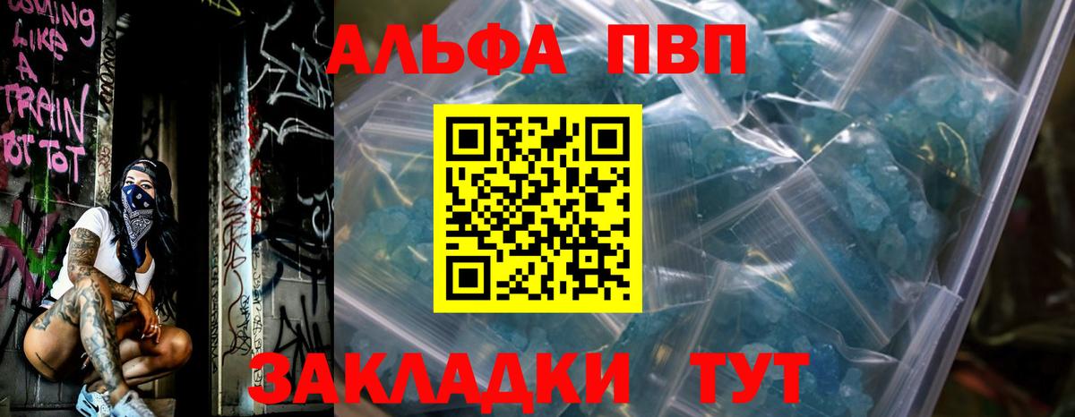 Альфа ПВП СК Курск