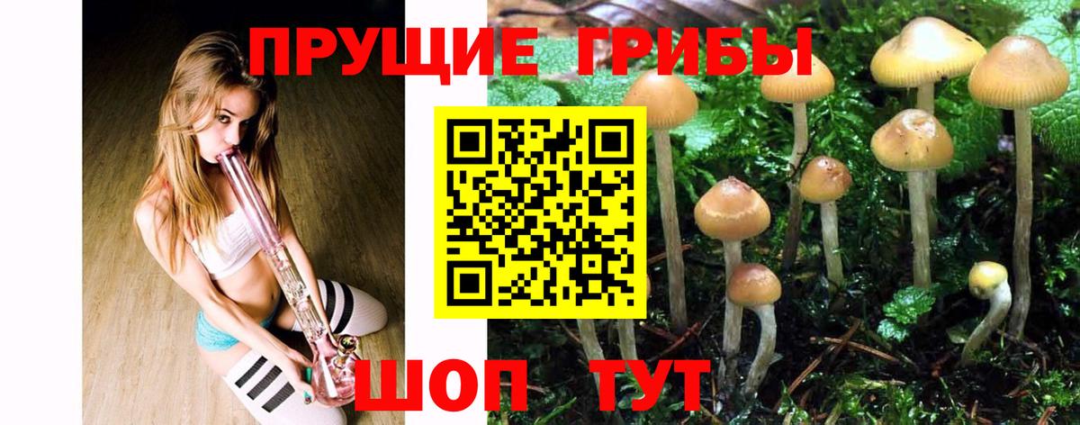 Псилоцибиновые грибы мухоморы Курск