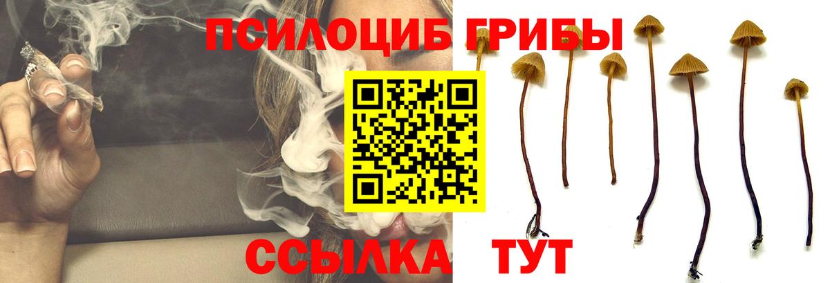 Галлюциногенные грибы мицелий  Псилоцибиновые грибы мухоморы  Вход с VPN  Курск 