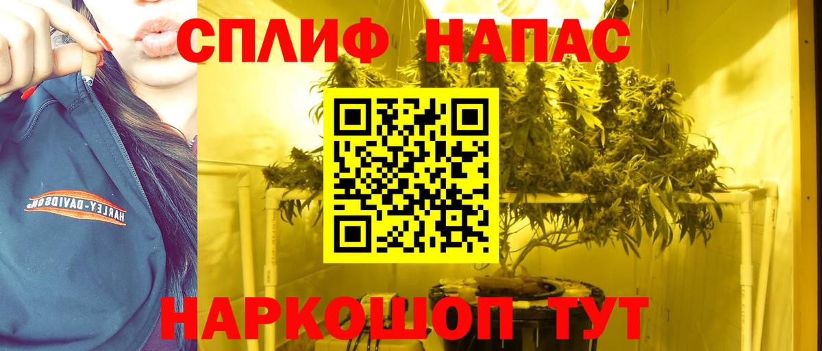 Канабис AK-47  Бошки марихуана планчик  Курск  Шишки марихуана семена  Вход с VPN  Конопля индика 